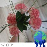 Eva Brůnová - @brunovaeva - Instagram