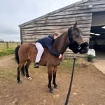 Eva Bryan 🏴󠁧󠁢󠁷󠁬󠁳󠁿 - @evas_equestrianjourney - Instagram