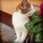 eva_buck - @eva_kcub - Instagram