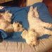 Eva Buckley - Facebook