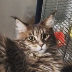 Eva_Budzko - @eva_budzko - Instagram