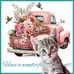 Eva Pitts - Facebook