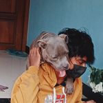 ᴇᴠᴀ - @eva_.bully - Instagram
