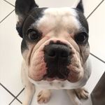 Eva Munhoz Bull - @eva_bull1008 - Instagram