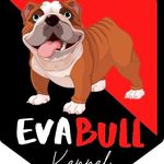 EvaBull kennel - @evabullkennel - Instagram