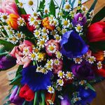 Eva Burman - @evaro160 - Instagram