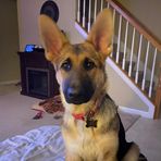 Eva Burney - Facebook