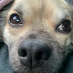 Eva Burton - @burtsbestbits - Instagram