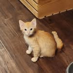 Eva Buskirk - @easterngirl2381 - Instagram