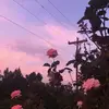 Aestetics - @evabussoncheerleader - TikTok