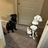Eva V - @evamariebustos - TikTok
