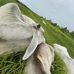 Eva Byers - Facebook