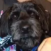 Evan Byers - @evan_byers - TikTok