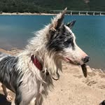 Eva lacoma cacho - @elacoma61 - Instagram