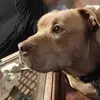 Evita - @evacadena432 - TikTok