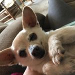 Eva Cain - @ekcn74 - Instagram