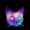 evacampoy92 - @eva.campoy - TikTok