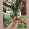 Eva Cancino Villarreal - @eva.cancino.villa - TikTok