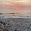 𝓔𝓿𝓪 - @eva_carbone01 - TikTok