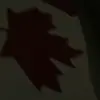 evancarman - @evancarman - TikTok