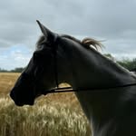 @eva_casper.eq - Instagram