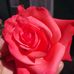 Eva Castanon - Facebook