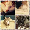 Eva_Cato - @eva_cato - TikTok