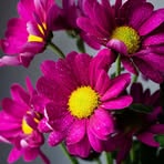 Eva Cato Haman - Facebook