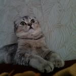 Eva - @eva_catone - Instagram