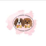 Cavalier Eva & Willow - @cavalier_eva_willow - Instagram
