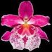Eva Celestine - Facebook
