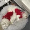 fuzzy - @evacellini - TikTok