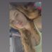 Eva Chandler - Facebook