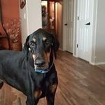 Marilyn Eva Chandler - @marilyn_chandler - Instagram