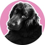 Eva Charpentier - Facebook