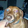 Apple User336379315 - @evanclanton1 - TikTok