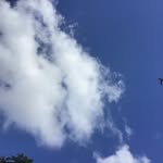 Evacollard - @evacollard4 - Instagram