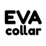 Vêtements pour les chiens - @evacollar.md - Instagram