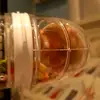 Eva Collier - @polly.hamster - TikTok