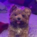 Eva Collier McCarty - Facebook