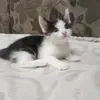 Имена 👆 - @evacomanda - TikTok