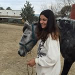 ♞ Eva & Connor ♞ - @egr.dressage - Instagram