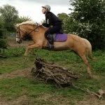 EvaConnor - @evacon14 - Instagram