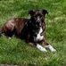 Eva Crawford Halcom - Facebook