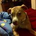 Eva Crocker - Facebook