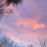 ꨄ𝐄 𝐕 𝐀ꨄ - @eva.curran11 - Instagram