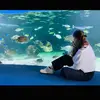 Eva daniels - @evadandie - TikTok