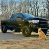 Evan Daniels - @.evandaniels - TikTok