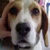 Eva Davidson - @eva4729 - TikTok