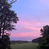 Evan Davidson - @evandavidson_ - TikTok